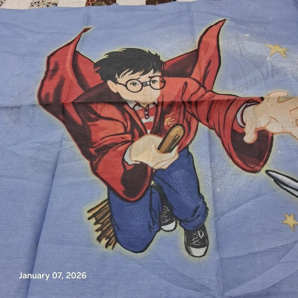 Vintage Harry Potter and The‎ Golden Snitch Quidditch Pillow Case Book Series